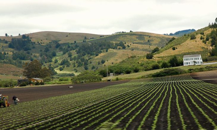 California Farmland