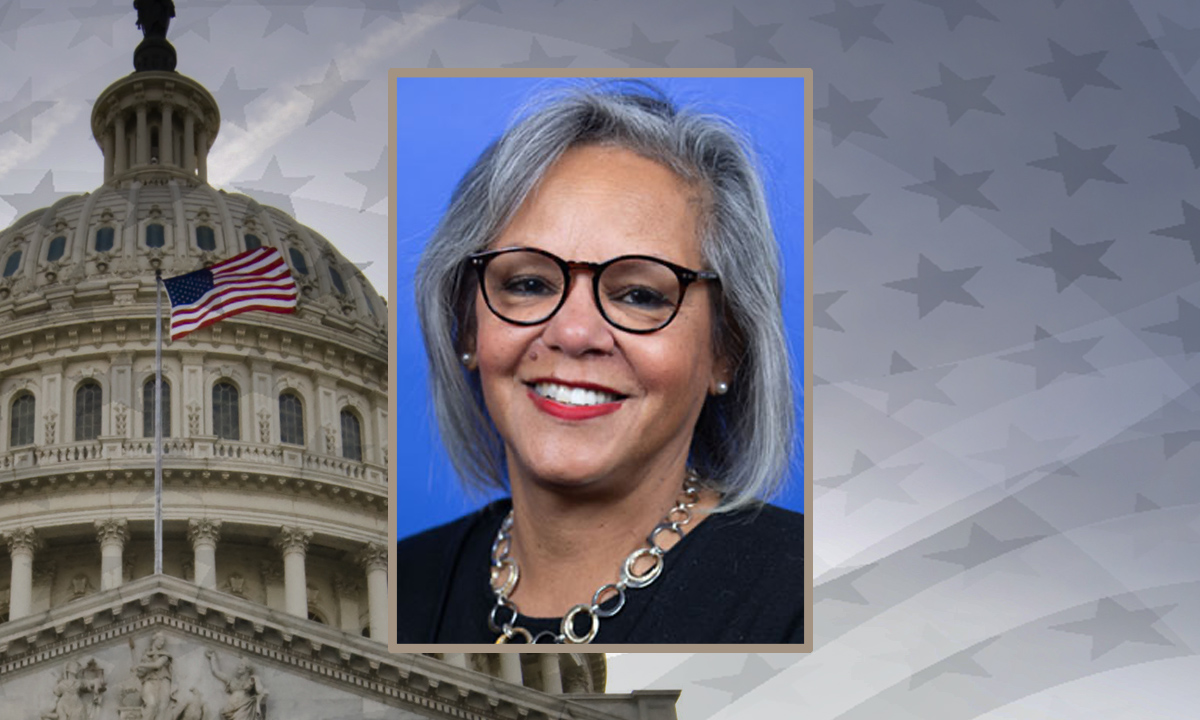 Robin Kelly, Representative for Illinois